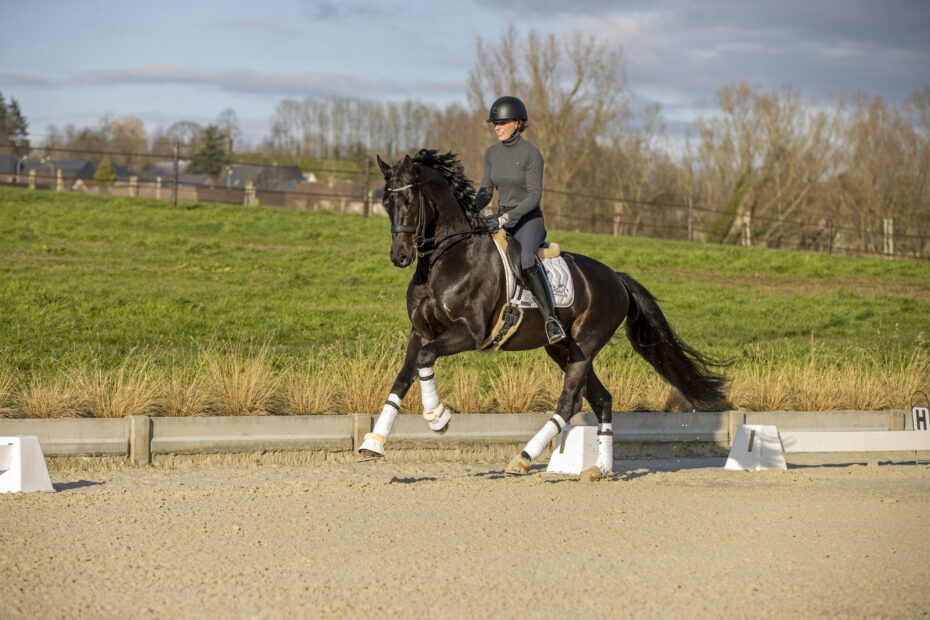 De Winne Flore, BEL, FlynnWinhorses - Geraardsbergen 2021© Hippo Foto - Dirk Caremans25/01/2021