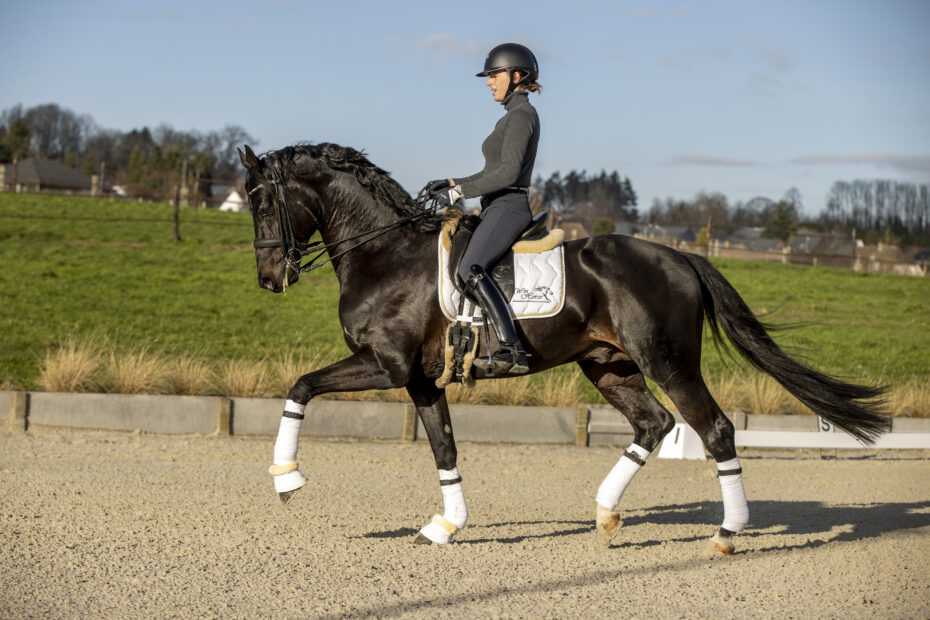 De Winne Flore, BEL, FlynnWinhorses - Geraardsbergen 2021© Hippo Foto - Dirk Caremans25/01/2021