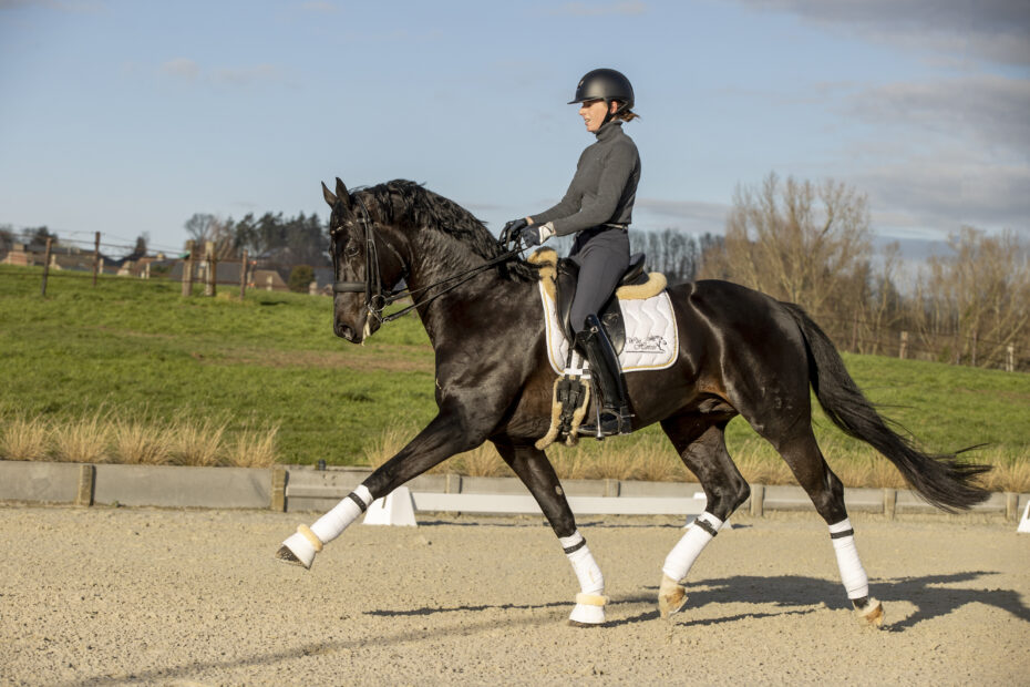 De Winne Flore, BEL, FlynnWinhorses - Geraardsbergen 2021© Hippo Foto - Dirk Caremans25/01/2021