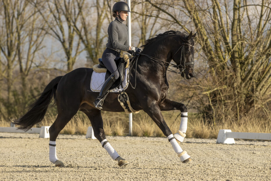 De Winne Flore, BEL, FlynnWinhorses - Geraardsbergen 2021© Hippo Foto - Dirk Caremans25/01/2021